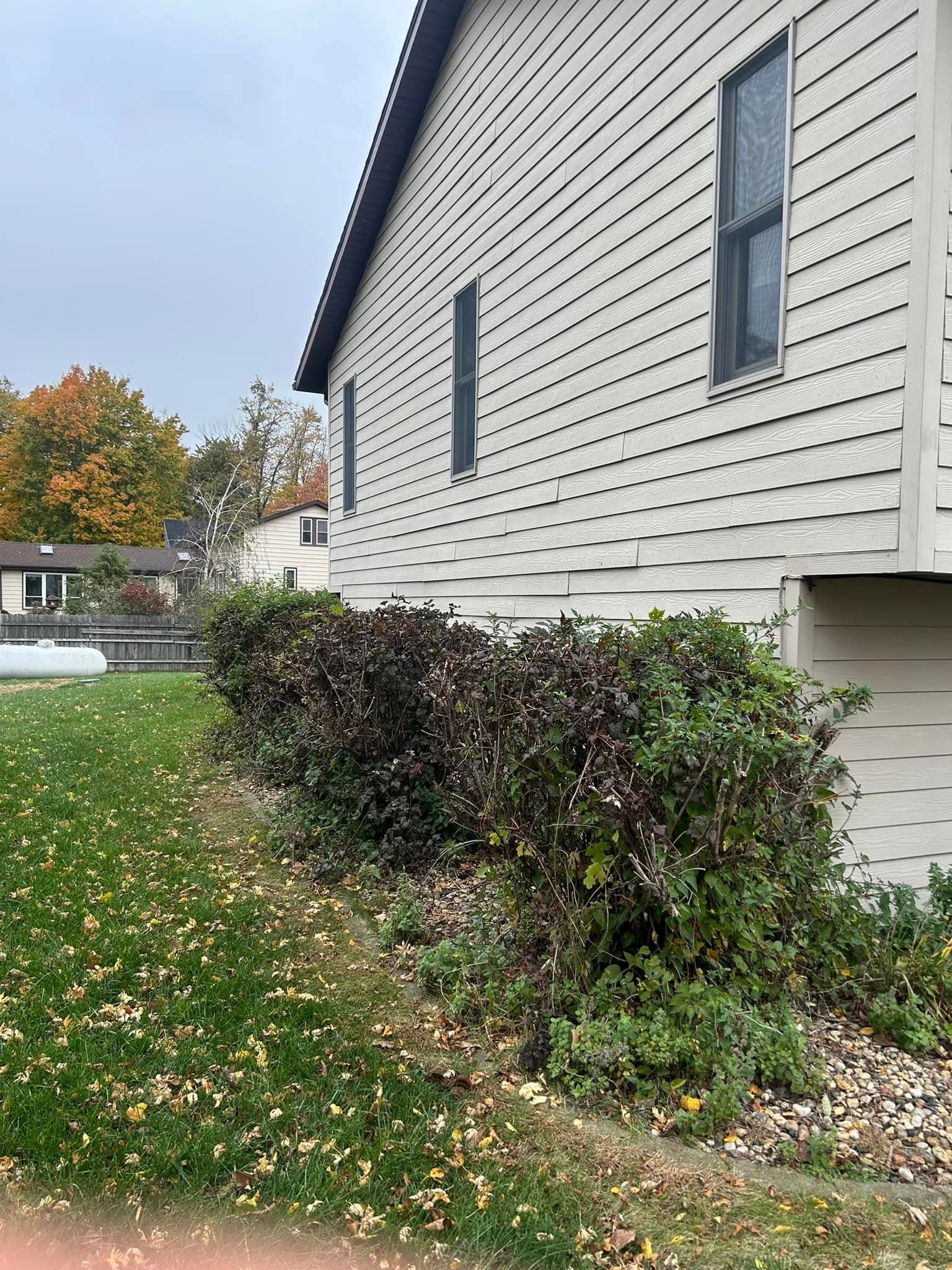Side view of a house with a well-maintained hedge and autumn foliage in the background.