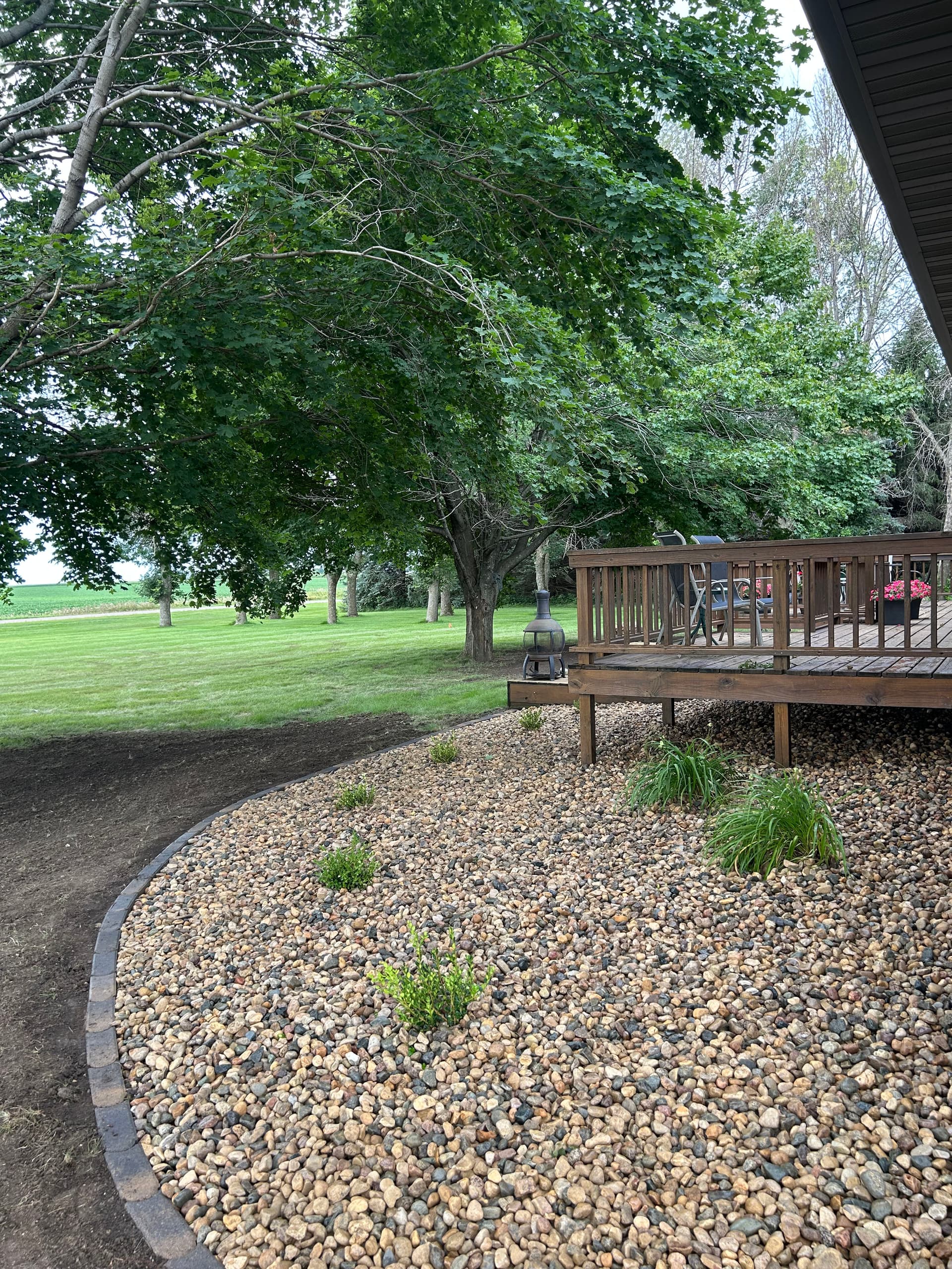 Gallery photos for Fresh Landscaping with New Boxwoods, Rock, and Grading: Image #2